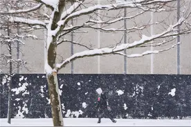加拿大哈利法克斯遭遇暴风雪袭击图片