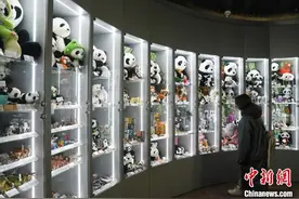 从“熊猫缘”到“中国情”：“喀秋莎”和她的朋友们图片