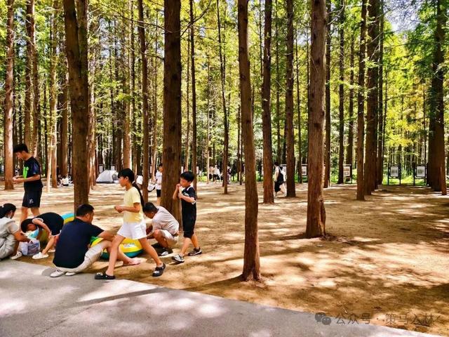 任家台拾贝：一碗“面”，吃的都是“海之恋”
