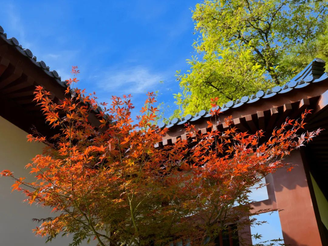 秋风引路入曲江，芙蓉金叶映红墙