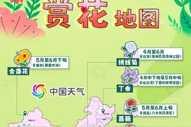 赴一场浪漫之旅！全国五一赏花地图出炉 看大江南北哪里花海正美图片