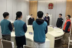 只能轻轻放过？破解少年犯罪的司法困境图片