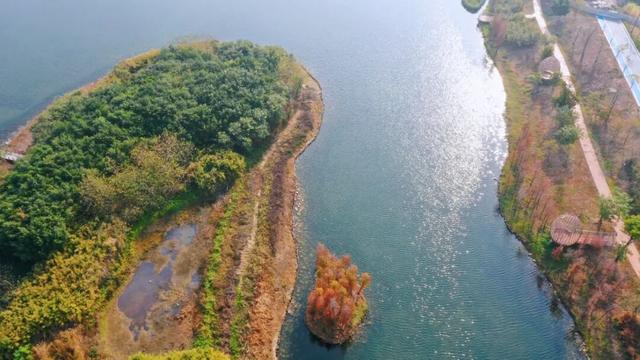 大批市民游客打卡！增城又一公园迎来试开园→
