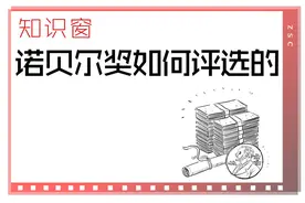 知识窗丨诺贝尔奖如何评选的图片