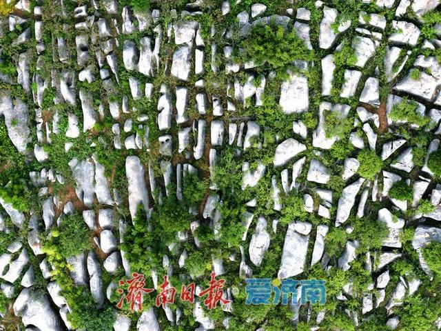 石海地质奇观宛如巨型“地球二维码”| 一年四季 泉在济南