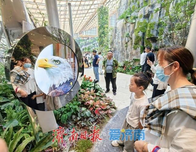“国庆中秋”双节来黄河北，鹊华生态文化区邀您来做客