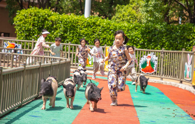 桂林融创乐园海世界，这样玩！