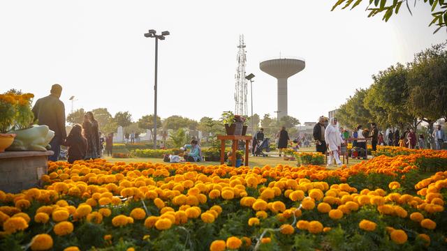 巴基斯坦伊斯兰堡：花团锦簇