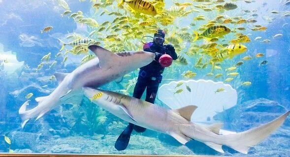 青岛奥帆海洋文化旅游区入选省级消费新场景典型案例