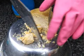 小动物们都爱吃什么？武汉动物园“营养中心”大揭秘图片