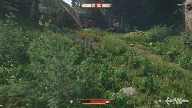 《天国：拯救2》图文流程任务全攻略