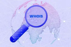 明查·工具箱｜你获取信息的网站靠谱吗？看下DNS信息吧图片