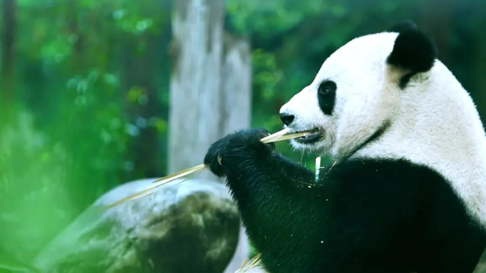 川西秋色“天花板”：雅安宝兴为您推荐四条“绝美”路线