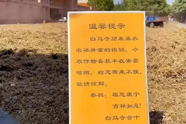少林寺来了位不一样的住持