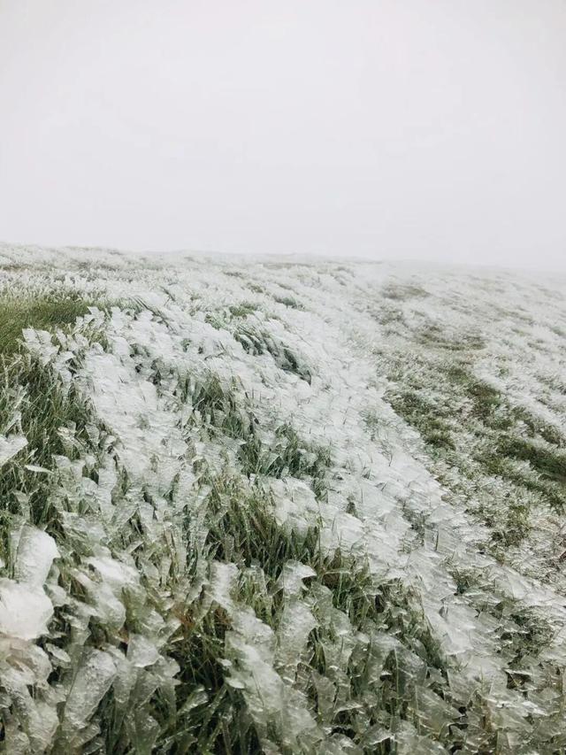 美到词穷！郴州首场雾凇惊艳上线