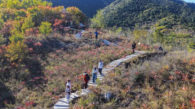 秋声渐杳 斑斓成诗#