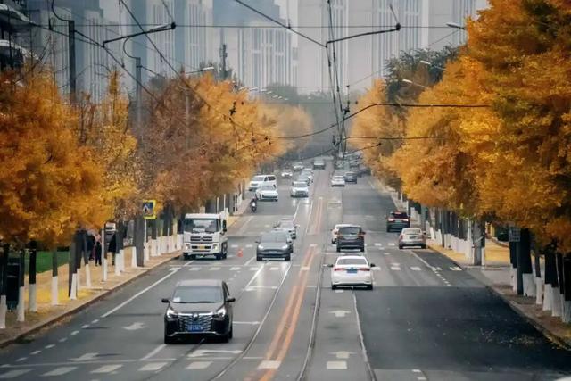 “缓扫”了，快点来大连拍照打卡吧！