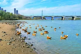 「人与自然和谐相处的温暖瞬间」两代人的接力图片