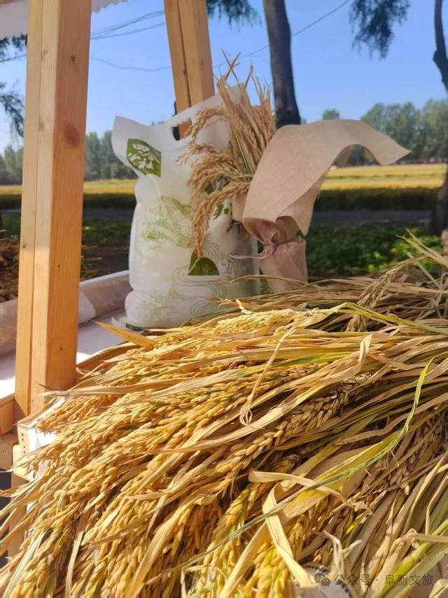 我们的节日｜阜新市特色活动拉动文旅消费