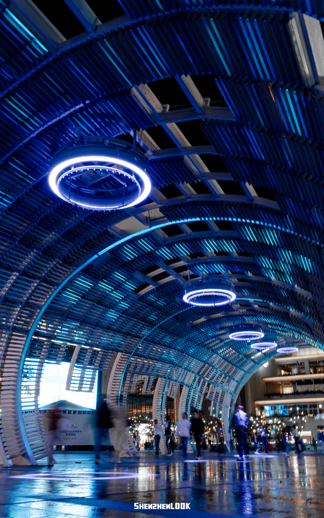 不愧是南山！深圳湾夜景彻底变了，光影艺术季来了