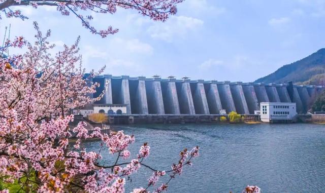 多款“春日良方”上线！来六安，治愈你的“节后综合征”→