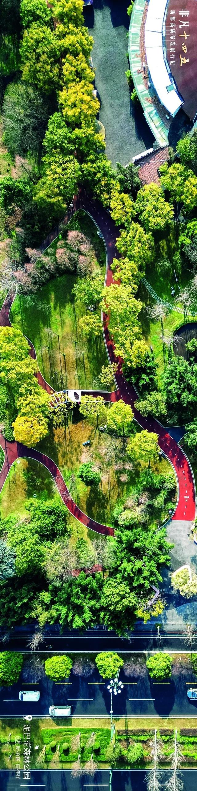 飞“阅”新都 | 一座生长在公园里的城市