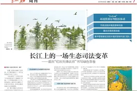 重庆日报整版｜长江上的一场生态司法变革——重庆“红岩先锋法官”书写绿色答卷图片
