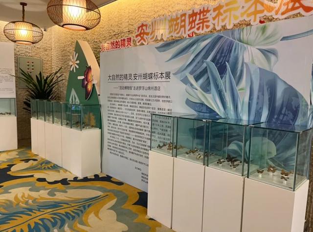 金秋有礼 绵阳有你 ‖ 霜降罗浮暖，亲子时光里的秋日童话
