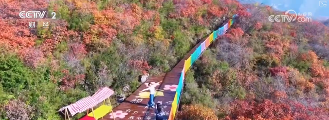 “枫叶+”燃动秋日文旅消费“热引擎” 以旅促农增收再添“金钥匙”