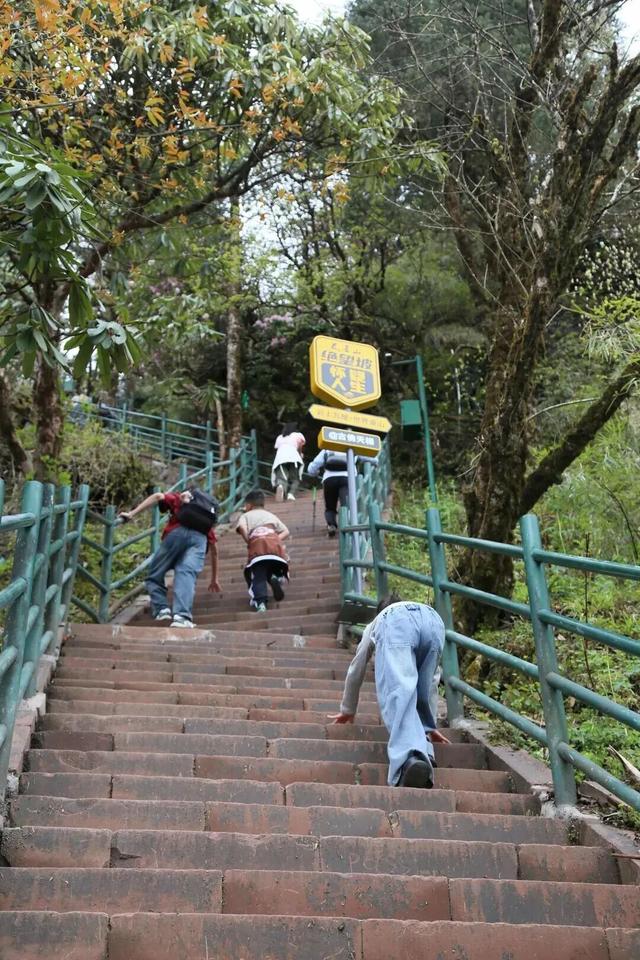 快来瓦屋山徒步！真的很过瘾！