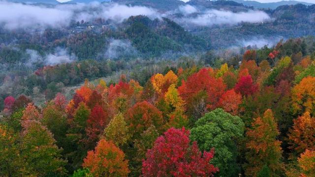 酉阳初冬美景合集：邂逅山间调色盘，每一帧都是壁纸！