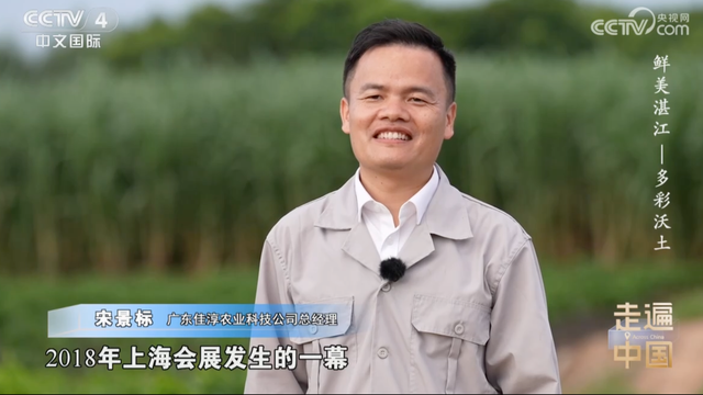 央视镜头下的多彩湛江，以海为媒绘就农文旅融合新图景