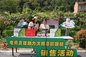电商培训进镇村——为汉阴县猕猴桃插上“云翅膀”图片