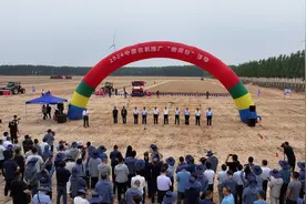 中国田间日丨智动三夏 潍柴雷沃智能农机“阅兵”中原粮仓图片