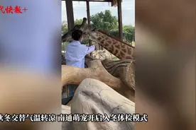 给河马检查口腔，给蟒蛇量体长……这工作你敢做吗？图片