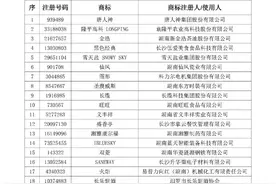2024年第二批湖南省知名商标品牌认定名单公告图片
