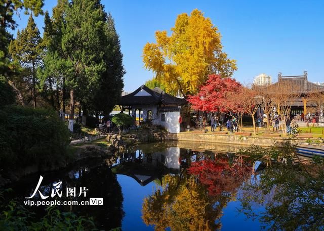 江苏南京：莫愁湖公园冬景醉游人