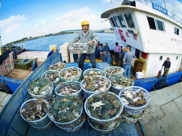 好玩好逛还好吃，关键是“鲜”到离谱！就在闵行这里……
