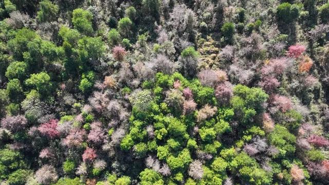 初冬，来大龙开发区遇见“限定暖阳”