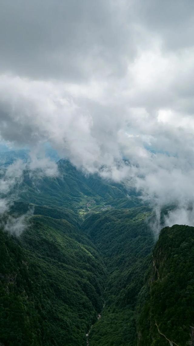 山称明月好，月出遍山明
