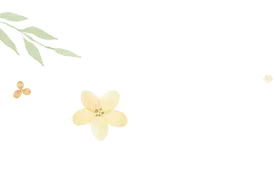 海洋之味——霞浦烤虾干图片