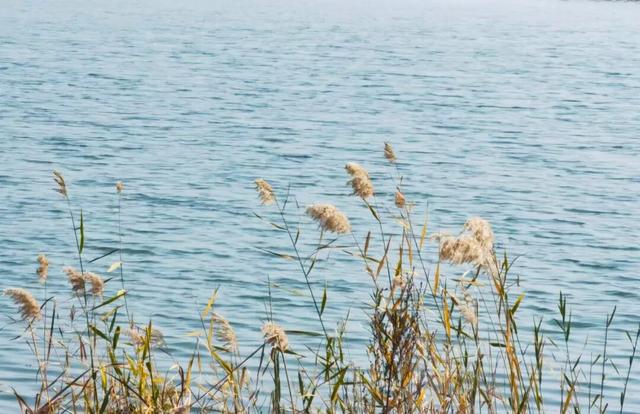 漫步街头巷尾，寻找冀南新区独有的初冬韵味