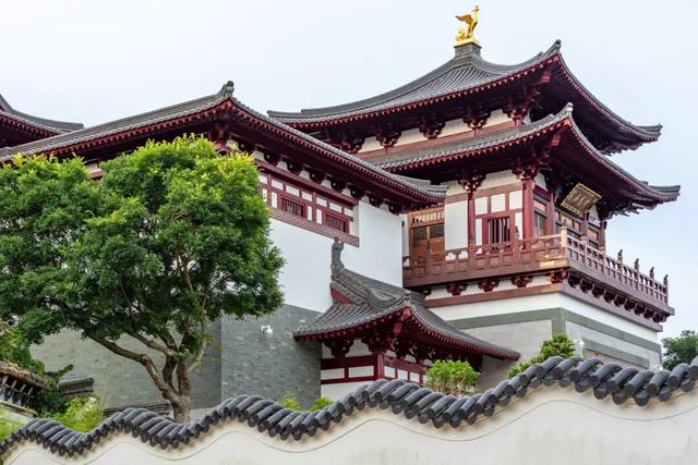 “普陀山请您接好运”啦！
