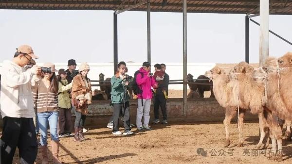 北疆文化神州行丨网络达人探秘阿拉善右旗：解锁生态与文化密码