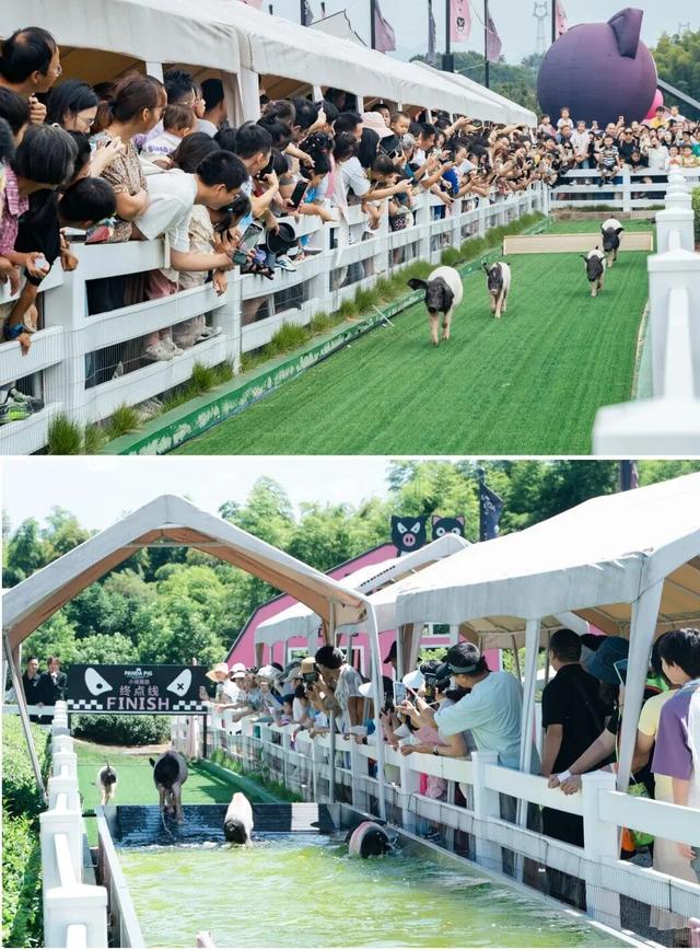 今天过节！这些景区对老年人有优惠、免票政策