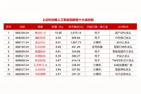 一只“硬核精尖”指数，满手AI科技龙头，科创人工智能ETF华宝（589520）3月13日上市图片