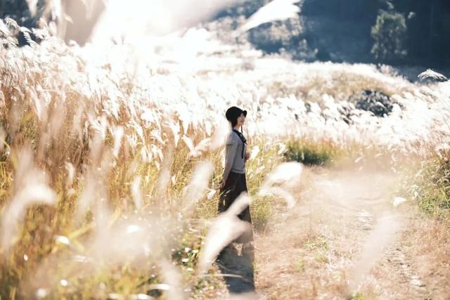 不赶行程的自由！屏南2天1夜，与草场、火凤凰、红柿子浪漫相遇