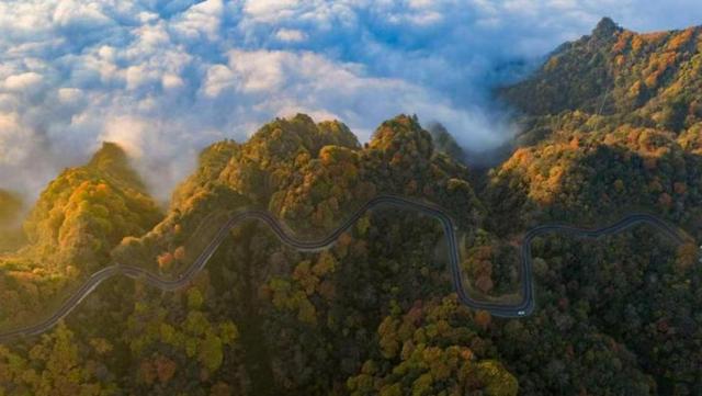锦绣天府·安逸四川｜单日2.3万人次！广元旺苍县一片红叶催热生态游