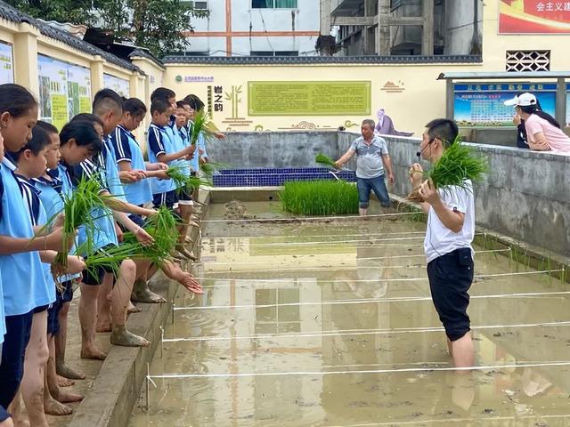 来三明岩前赴一场稻田之约吧！