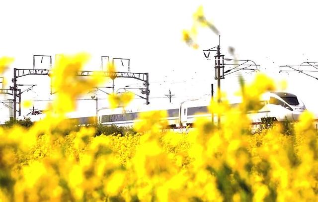 旅客齐呼“哇塞”！窗外闪过……